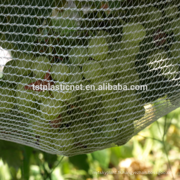 filet anti-grêle pour la plantation de pommier et de tomate, filet anti-grêle d&#39;agriculture, filet de protection contre la grêle